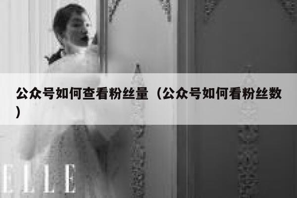 公众号如何查看粉丝量（公众号如何看粉丝数） 第1张