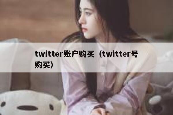 twitter账户购买（twitter号购买） 第1张