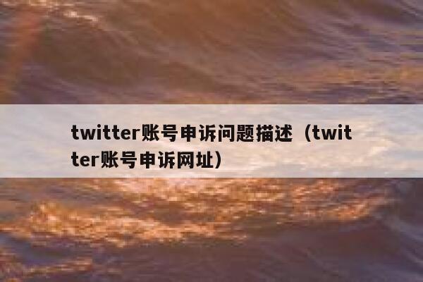 twitter账号申诉问题描述（twitter账号申诉网址） 第1张