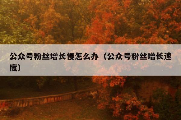 公众号粉丝增长慢怎么办（公众号粉丝增长速度） 第1张