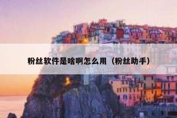 粉丝软件是啥啊怎么用(粉丝助手) 第1张 粉丝软件是啥啊怎么用(粉丝助手) 第1张