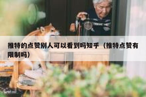 推特的点赞别人可以看到吗知乎（推特点赞有限制吗） 第1张