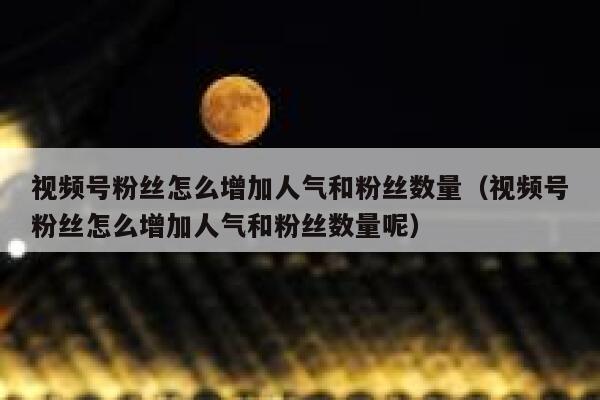 视频号粉丝怎么增加人气和粉丝数量（视频号粉丝怎么增加人气和粉丝数量呢） 第1张