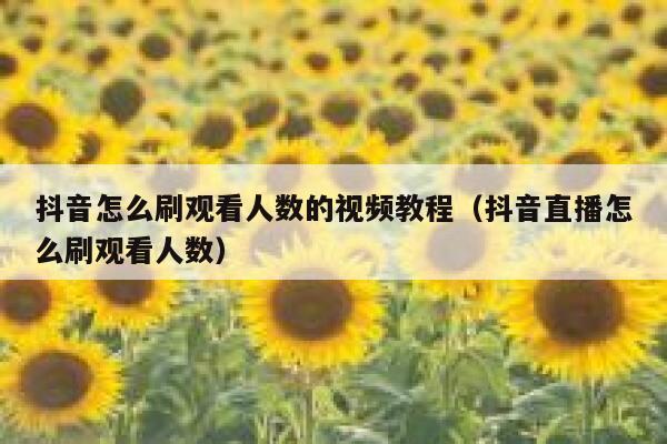 抖音怎么刷观看人数的视频教程（抖音直播怎么刷观看人数） 第1张