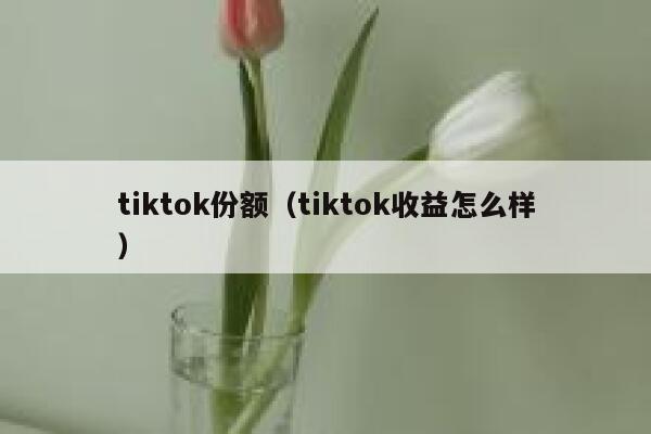 tiktok份额（tiktok收益怎么样） 第1张