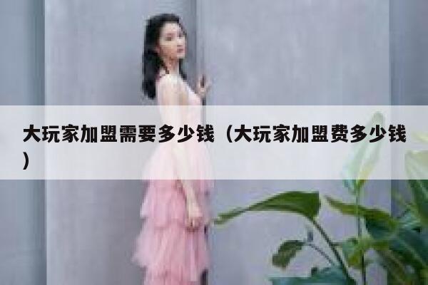 大玩家加盟需要多少钱（大玩家加盟费多少钱） 第1张