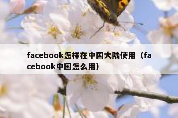 facebook怎样在中国大陆使用(facebook中国怎么用) 第1张 facebook怎样在中国大陆使用(facebook中国怎么用) 第1张