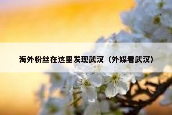 海外粉丝在这里发现武汉(外媒看武汉) 第1张 海外粉丝在这里发现武汉(外媒看武汉) 第1张