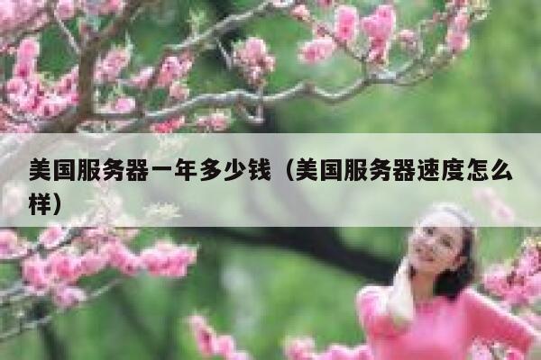 美国服务器一年多少钱（美国服务器速度怎么样） 第1张
