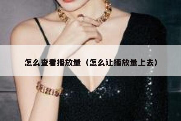 怎么查看播放量（怎么让播放量上去） 第1张