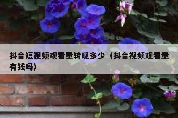 抖音短视频观看量转现多少（抖音视频观看量有钱吗） 第1张