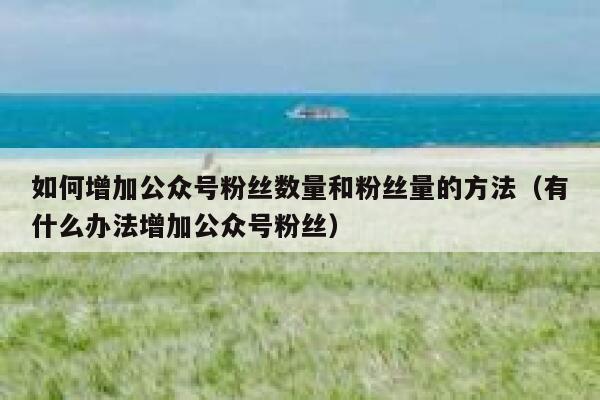 如何增加公众号粉丝数量和粉丝量的方法（有什么办法增加公众号粉丝） 第1张