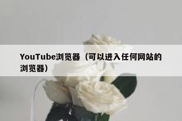 YouTube浏览器（可以进入任何网站的浏览器） 第1张