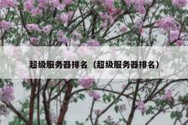 超级服务器排名（超级服务器排名） 第1张