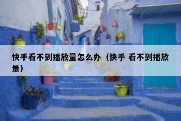 快手看不到播放量怎么办(快手 看不到播放量) 第1张 快手看不到播放量怎么办(快手 看不到播放量) 第1张
