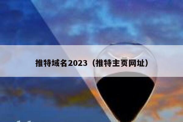 推特域名2023（推特主页网址） 第1张