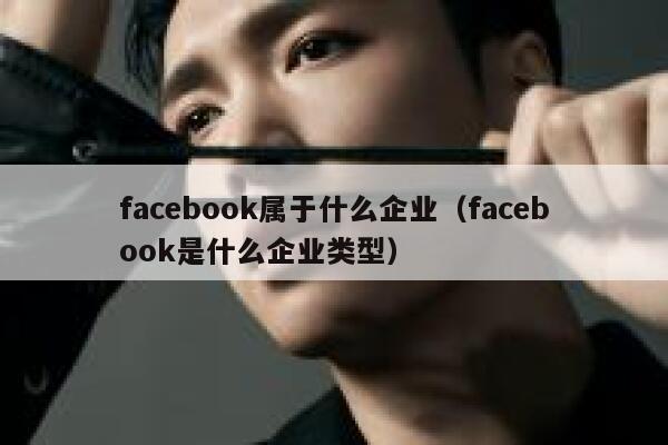 facebook属于什么企业（facebook是什么企业类型） 第1张