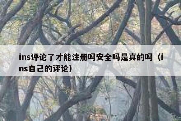ins评论了才能注册吗安全吗是真的吗（ins自己的评论） 第1张