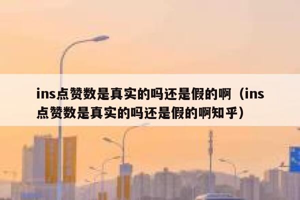 ins点赞数是真实的吗还是假的啊（ins点赞数是真实的吗还是假的啊知乎） 第1张