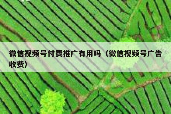 微信视频号付费推广有用吗（微信视频号广告收费） 第1张