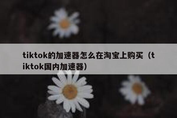 tiktok的加速器怎么在淘宝上购买（tiktok国内加速器） 第1张