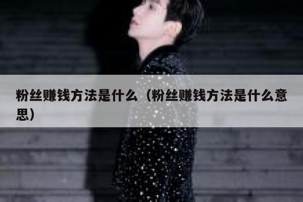 粉丝赚钱方法是什么（粉丝赚钱方法是什么意思） 第1张