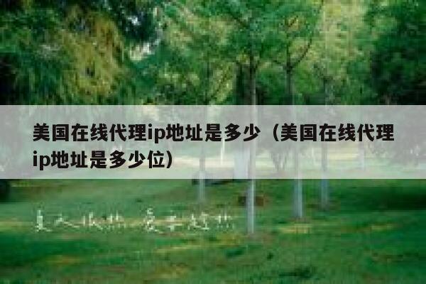 美国在线代理ip地址是多少（美国在线代理ip地址是多少位） 第1张