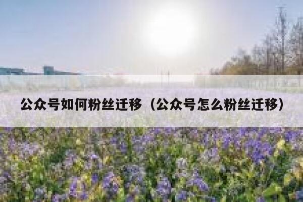 公众号如何粉丝迁移（公众号怎么粉丝迁移） 第1张