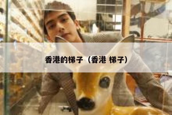 香港的梯子(香港 梯子) 第1张 香港的梯子(香港 梯子) 第1张