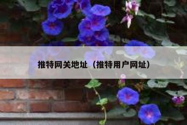 推特网关地址(推特用户网址) 第1张 推特网关地址(推特用户网址) 第1张