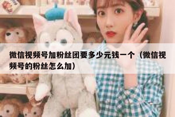 微信视频号加粉丝团要多少元钱一个（微信视频号的粉丝怎么加） 第1张