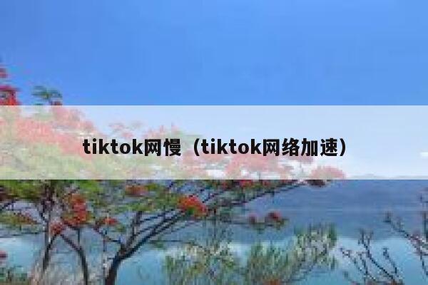 tiktok网慢（tiktok网络加速） 第1张