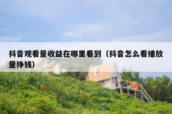 抖音观看量收益在哪里看到(抖音怎么看播放量挣钱) 第1张 抖音观看量收益在哪里看到(抖音怎么看播放量挣钱) 第1张