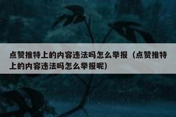点赞推特上的内容违法吗怎么举报（点赞推特上的内容违法吗怎么举报呢） 第1张