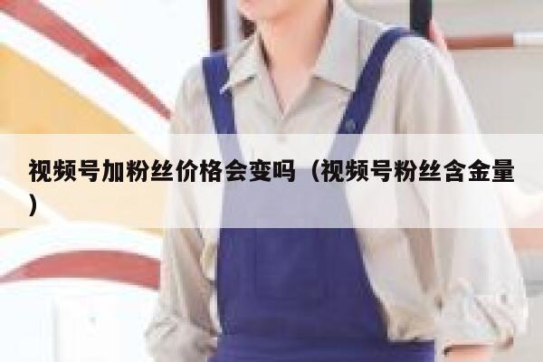 视频号加粉丝价格会变吗（视频号粉丝含金量） 第1张