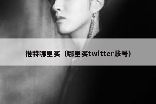 推特哪里买(哪里买twitter账号) 第1张 推特哪里买(哪里买twitter账号) 第1张