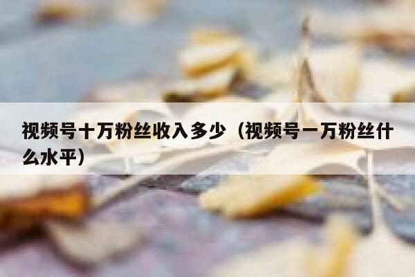 视频号十万粉丝收入多少（视频号一万粉丝什么水平） 第1张