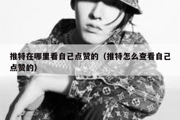 推特在哪里看自己点赞的（推特怎么查看自己点赞的） 第1张