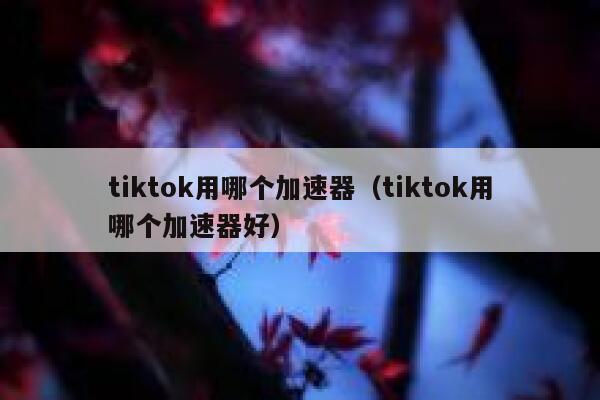 tiktok用哪个加速器（tiktok用哪个加速器好） 第1张