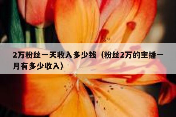 2万粉丝一天收入多少钱（粉丝2万的主播一月有多少收入） 第1张