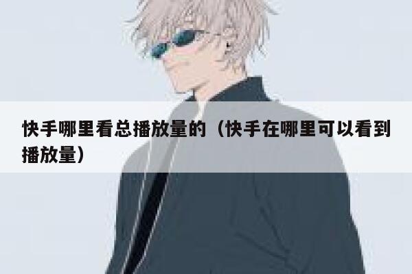快手哪里看总播放量的(快手在哪里可以看到播放量) 第1张 快手哪里看总播放量的(快手在哪里可以看到播放量) 第1张