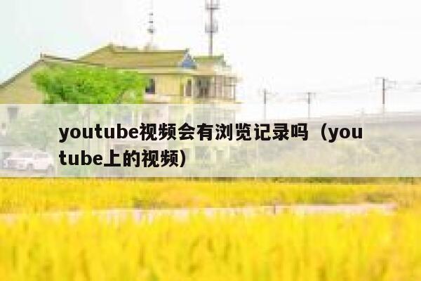 youtube视频会有浏览记录吗（youtube上的视频） 第1张