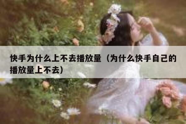 快手为什么上不去播放量（为什么快手自己的播放量上不去） 第1张