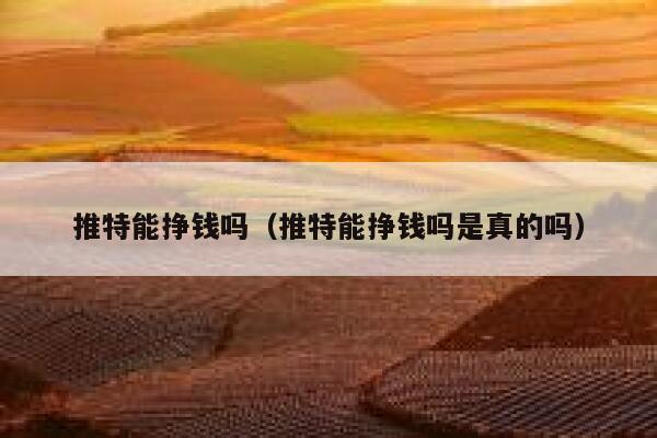 推特能挣钱吗（推特能挣钱吗是真的吗） 第1张