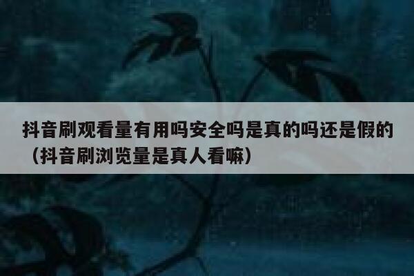 抖音刷观看量有用吗安全吗是真的吗还是假的（抖音刷浏览量是真人看嘛） 第1张