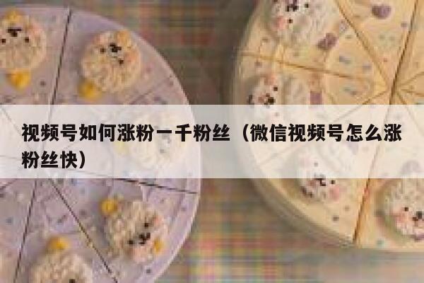 视频号如何涨粉一千粉丝（微信视频号怎么涨粉丝快） 第1张