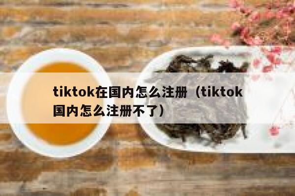 tiktok在国内怎么注册（tiktok国内怎么注册不了） 第1张