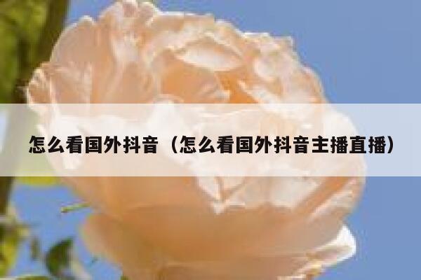 怎么看国外抖音(怎么看国外抖音主播直播) 第1张 怎么看国外抖音(怎么看国外抖音主播直播) 第1张
