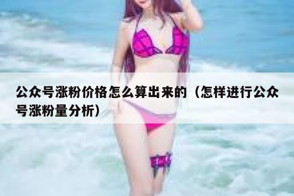 公众号涨粉价格怎么算出来的（怎样进行公众号涨粉量分析） 第1张