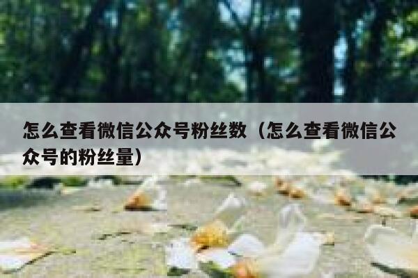 怎么查看微信公众号粉丝数(怎么查看微信公众号的粉丝量) 第1张 怎么查看微信公众号粉丝数(怎么查看微信公众号的粉丝量) 第1张